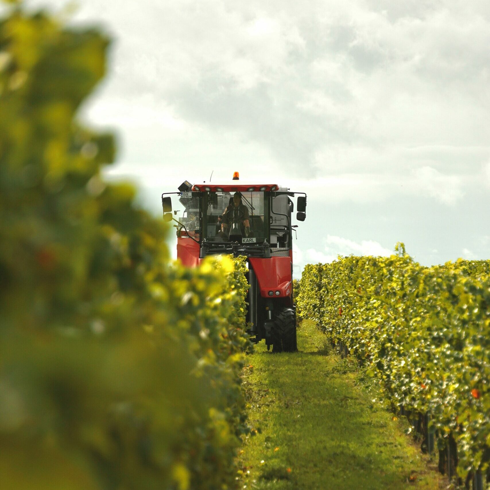A tractor operates in a lush field, capturing the essence of rural agriculture.