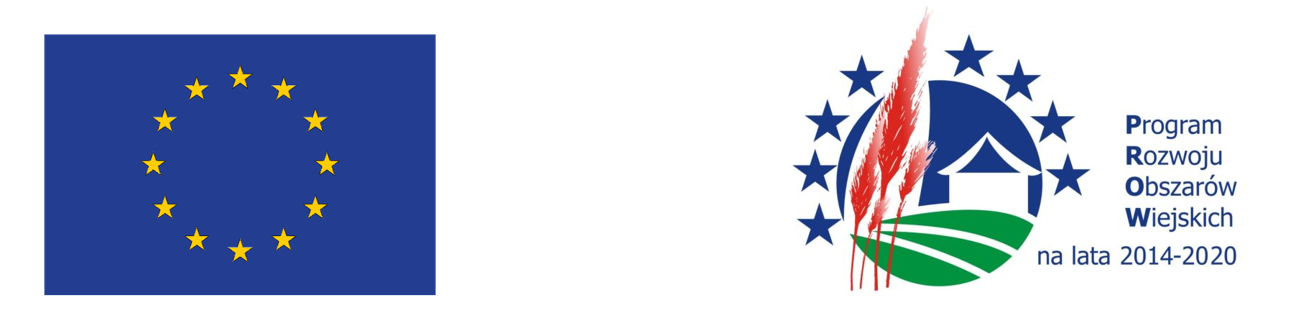 Zrzut ekranu 2025-06-18 091444