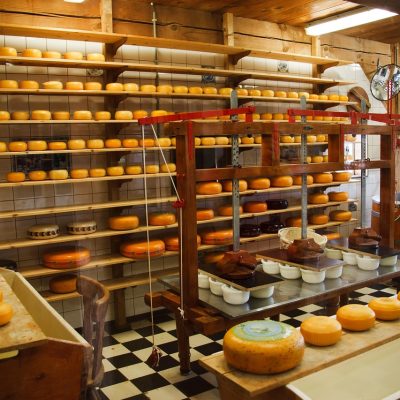 cheese, clean, commercial, dairy, equipment, factory, food, industrial, industry, make, manufacture, metal, milk, plant, process, production, round, steel, tank, technology, brown food, nature, brown technology, brown plant, brown plants, brown metal, brown clean, brown industry