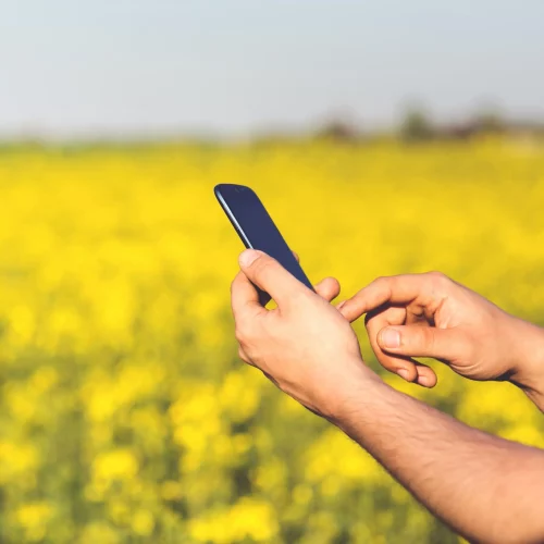 pexels-kaboompics-com-6465