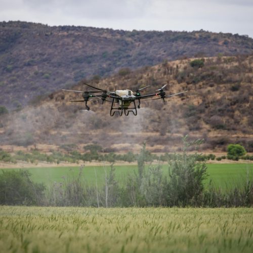 pexels-photo-34182311-34182311-1